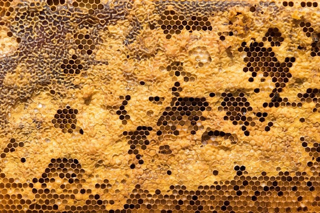 Nahaufnahme einer goldbraunen Bienenwabe mit sechseckigen Zellen